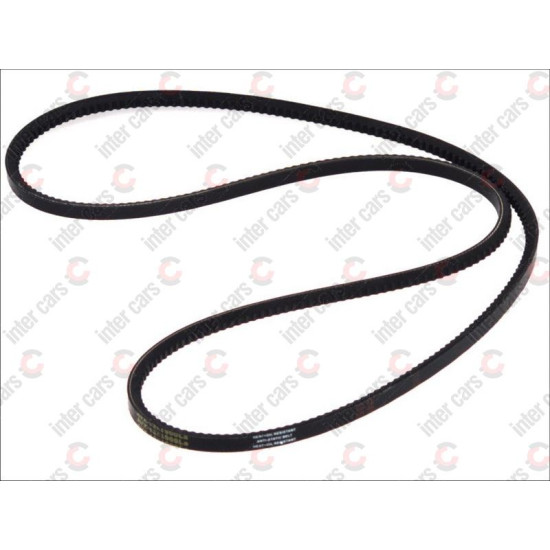 Curea accesorii DAYCO  DAF, Iveco, MAN, MERCEDES, Saab, Scania, Setra   13A1900C