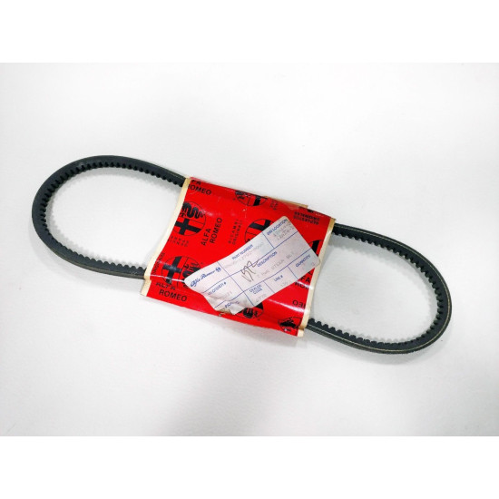 Curea Accesorii Alfa Romeo Audi Fiat 60512902/195112320300A
