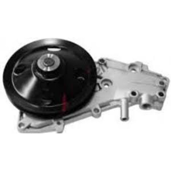 Pompa apa RHIAG   Renault  11  Renault  19 I  Renault  19 II  Renault  9  Renault  Clio 1  Renault  Rapid Van  Renault  Super 5  Renault  Twingo   WP721P