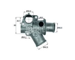 Termostat LANCIA Dedra Sedan (835) (1929 , 90 CP) BEHR C51280