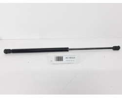 Amortizor haion RENAULT CLIO II BB0/1/2_, CB0/1/2_ 1998 - >