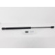 Amortizor haion RENAULT CLIO II BB0/1/2_, CB0/1/2_ 1998 - >