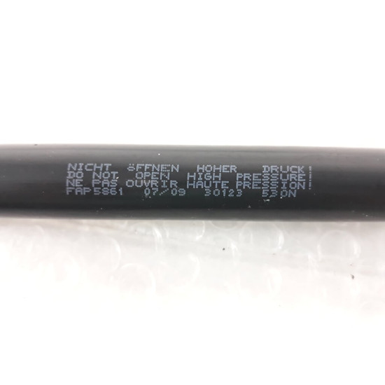Amortizor haion RENAULT CLIO II BB0/1/2_, CB0/1/2_ 1998 - >