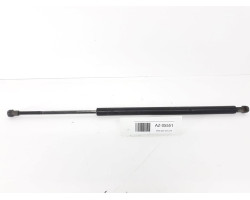Amortizor haion/portbagaj BMW X5 (E53) [ 2000 - 2007 ] 51248402405