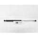 Amortizor telescop portbagaj haion RENAULT Clio 2 Coupe 7700842256