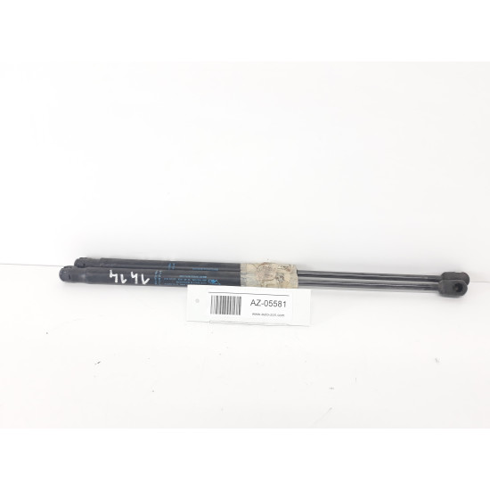 Amortizor telescop portbagaj haion Citroen C3 9639853880