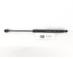 Amortizor telescop portbagaj haion VW PASSAT B6 2007 