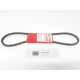 Curea accesorii ALFA ROMEO 6 (119_) [ 1979 - 1986 ] DAYCO 10A1030C