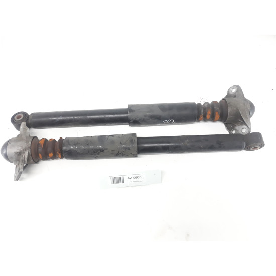 Set amortizoare spate Volkswagen Passat B6, Skoda Superb 2 3C0512011CP