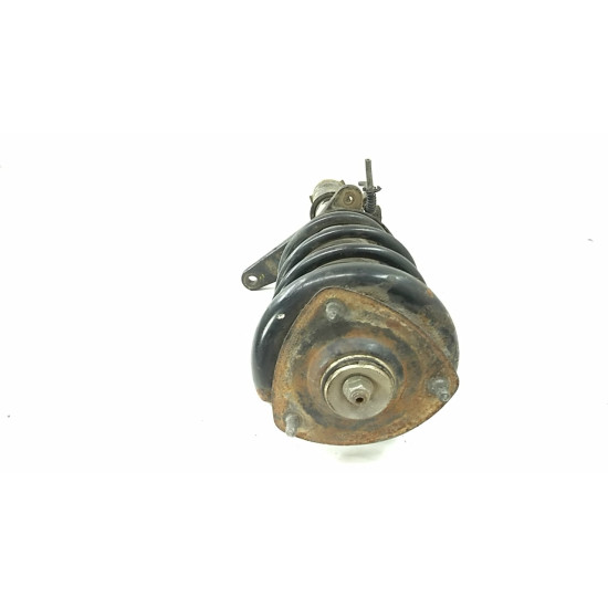 Amortizor complet dreapta Land Rover Freelander 2005 (L314) 2.0 DI 4X4 SH 22103885