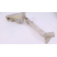 Vas/rezervor lichid de spalare parbriz SEAT IBIZA V (6J5, 6P1) [ 2008 - > ] OEM  6Q0955453N