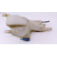 Vas/rezervor lichid de spalare parbriz SEAT CORDOBA (6K1, 6K2) [ 1993 - 2002 ] 6k0955453g