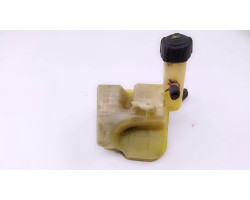 Vas expansiune Renault Laguna 2 2001-2006 8200008864
