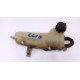 Vas expansiune Renault Clio 3 2007 7700427953