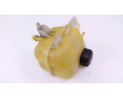 Vas expansiune Mini Cooper R50/52/53 2007 17107539267 02