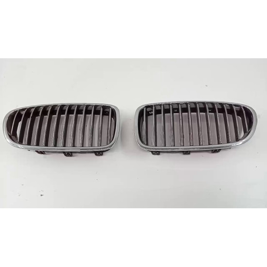 Grila radiator BMW F10 SH 51 137200728