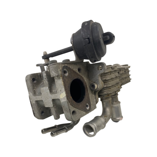EGR + Racitor gaze VW GOLF V  1.9 D BKC (1K1) [ 2003 - 2009 ] OEM 038131513AD