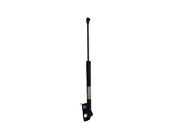 Amortizoare haion RENAULT ZOE (BFM_) [ 2012 - > ] OEM 904502915R