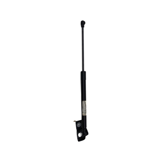 Amortizoare haion RENAULT ZOE (BFM_) [ 2012 - > ] OEM 904502915R