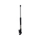 Amortizoare haion RENAULT ZOE (BFM_) [ 2012 - > ] OEM 904502915R