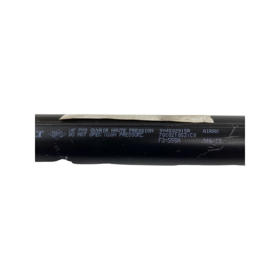 Amortizoare haion RENAULT ZOE (BFM_) [ 2012 - > ] OEM 904502915R