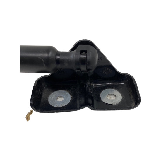 Amortizoare haion RENAULT ZOE (BFM_) [ 2012 - > ] OEM 904502915R