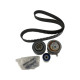 Set curea distributie VW TOURAN (1T1, 1T2) [ 2003 - 2010 ] OEM 03G198119B