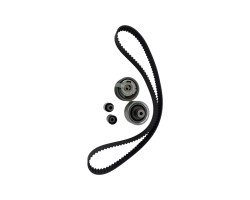 Set curea distributie AUDI A3 II (8P1) [ 2003 - 2013 ] INA 000W50126