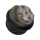 Tampon motor stanga 2.2 CDI MERCEDES-BENZ C-CLASS II (W203)  [ 2000 - 2007 ]