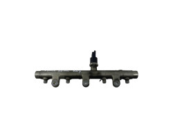 Rampa injectoare 2.0 HDI RHY CITROËN XSARA PICASSO (N68) [ 1999 - > ] BOSCH 0445214019