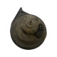Claxon AUDI A3 II (8P1) [ 2003 - 2013 ] OEM 35717 FIAMM