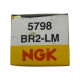 Bujie NGK 5798   OEM BR2-LM — NGK