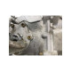 Cutie de viteze 1.7 CDTI  OPEL ZAFIRA A (F75_, T98) [ 1999 - 2005 ], OPEL MERIVA (X03) [ 2003 - 2010 ], OPEL ASTRA G CLASSIC (T98) [ 2004 - 2009 ] OEM 5495775