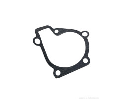 Garnitura, pompa apa KIA CEE`D Hatchback (ED) [ 2006 - 2012 ], KIA CERATO Saloon (LD) [ 2004 - 2009 ], HYUNDAI ELANTRA Saloon (XD) [ 2000 - 2006 ], HYUNDAI LANTRA II (J-2) [ 1995 - 2000 ] KIA 25124 23000
