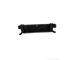 Radiator Intercooler 1.7 CDI MERCEDES-BENZ A-CLASS (W168) [ 1997 - 2005 ] OEM A1685000000