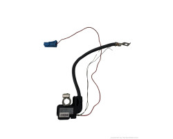 Borna pirotehnica BMW X5 II (E70) [ 2006 - 2013 ], BMW X6 (E71, E72) [ 2007 - 2014 ] OEM 61129155214