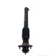 Amortizor BMW X5 (E53) [ 2000 - 2007 ] OEM 1125878
