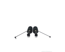 Set amortizoare fata stanga/dreapta  BMW X5 (E53) 3.0d [2000-2003] OEM 22184697  22184698
