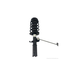 Amortizor fata cu arc elicoidal stanga fata BMW X5 (E53) [ 2000 - 2007 ] OEM 31316764599  22215501