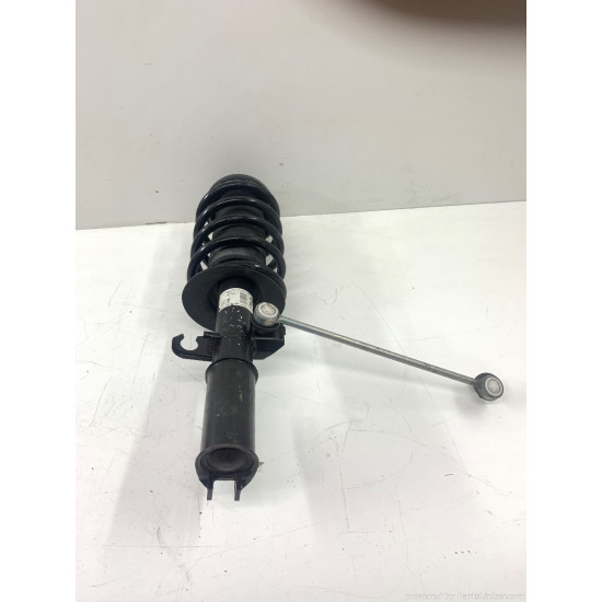 Amortizor fata cu arc elicoidal stanga fata BMW X5 (E53) [ 2000 - 2007 ] OEM 31316764599  22215501