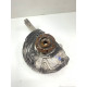 Fuzeta stanga fata BMW X5 II (E70) 3.0 D [ 2006 - 2013 ] OEM 6773783
