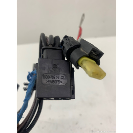 Instalatie electrica bujii BMW 3 VI (F30, F80) [ 2011 - 2018 ] OEM 10004769