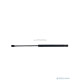 Amortizor haion FORD FOCUS (DNW) [ 1998 - 2005 ] OEM XS41N406A10AE