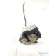 Broasca usa stanga spate FIAT PANDA (169_) [ 2003 - > ] OEM 51826987