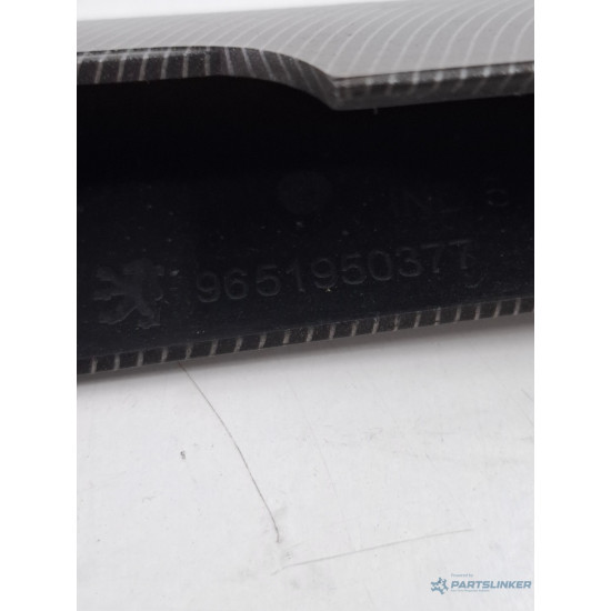 Alte ornamente portiera fata PEUGEOT 207 SW WK_ 2007 - 2012 1.6 HDi 9HZ (DV6TED4) 9651950377