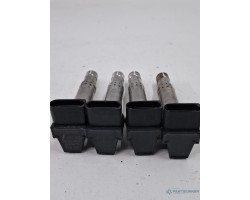 Fise bujii aprindere SEAT IBIZA IV 6L1 2002 - 2009 1.4 16V AUB, BBZ, SKODA FABIA 6Y2 1999 - 2008 1.4 16V AUA, BBY, BKY, VOLKSWAGEN GOLF IV 1J1 1997 - 2007 1.4 16V AHW, AKQ, APE, AXP, BCA 0902340117
