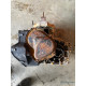 Cutie de viteze manuala 5 trepte FORD FIESTA V JH_, JD_ 2001 - 2010 1.4 TDCi F6JA, F6JB rf2n1r7f096ab