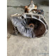 Cutie de viteze manuala 5 trepte FORD FIESTA V JH_, JD_ 2001 - 2010 1.4 TDCi F6JA, F6JB rf2n1r7f096ab