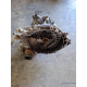 Cutie de viteze manuala 5 trepte OPEL ASTRA G Hatchback F48_, F08_, T98 1998 - 2009 1.4 Z 14 XEP, OPEL ASTRA H L48, A04 2004 - 2014 1.6 Z 16 XE1, Z 16 XEP, OPEL CORSA D S07 2006 - 2014 1.4 Z 14 XEP 55355489