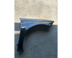Aripa dreapta fata RENAULT MEGANE II BM0/1_, CM0/1_ 2001 - 2012